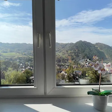 Studio Z Widokiem Na Palenice Apartment *